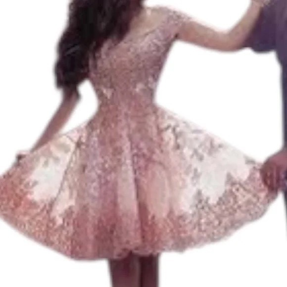 Hebeos A-line Women's Pink Lace Overlay, Cocktail/Party Dress SEE MEASUREMENTS - Picture 6 of 15